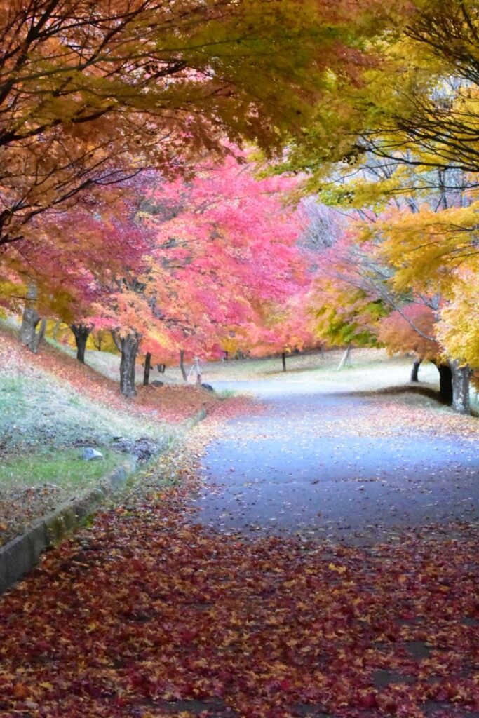 もみじ湖の紅葉