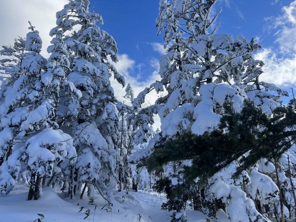 ピラタス蓼科スノーリゾート雪景色|茅野市で注文住宅ならエルハウス