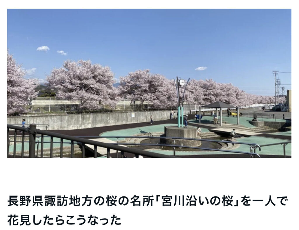 長野県諏訪地方の桜の名所「宮川沿いの桜」を一人で花見したらこうなった
