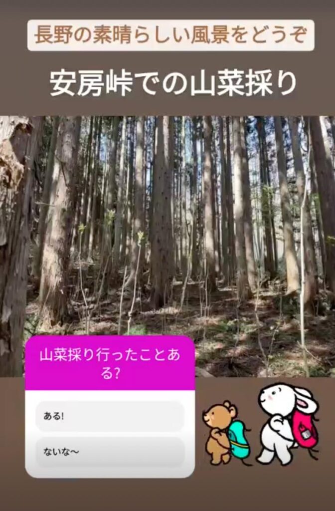 山菜とり
