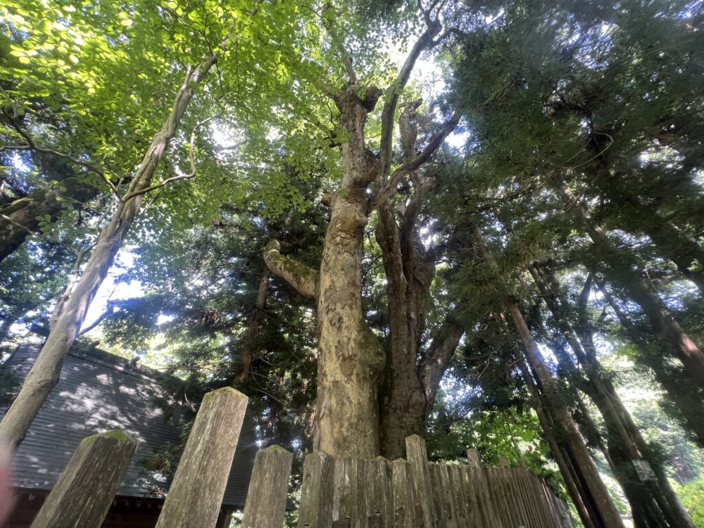 諏訪大社｜茅野市で注文住宅ならエルハウス