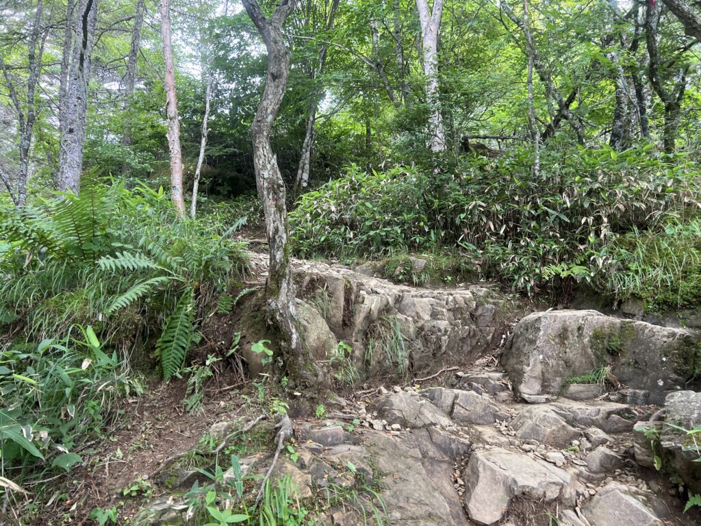 入笠山｜富士見町で注文住宅ならエルハウス