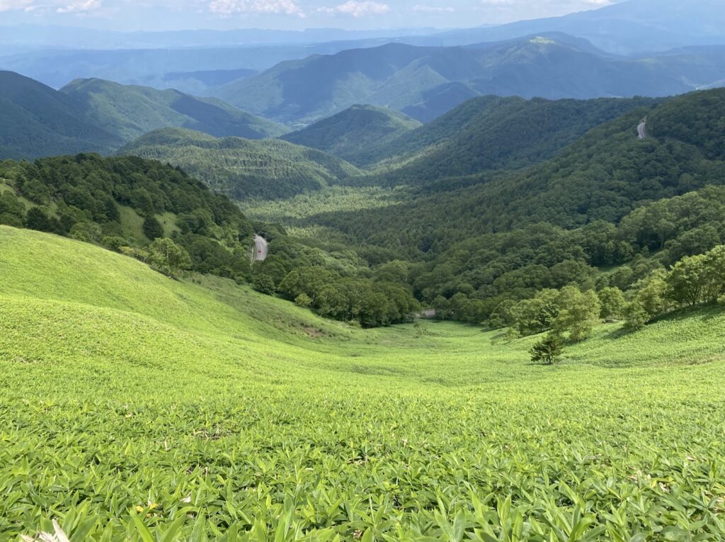 美ヶ原