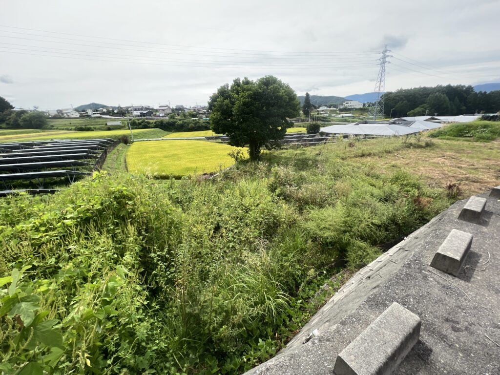 建築現場の草刈り｜富士見町で注文住宅ならエルハウス