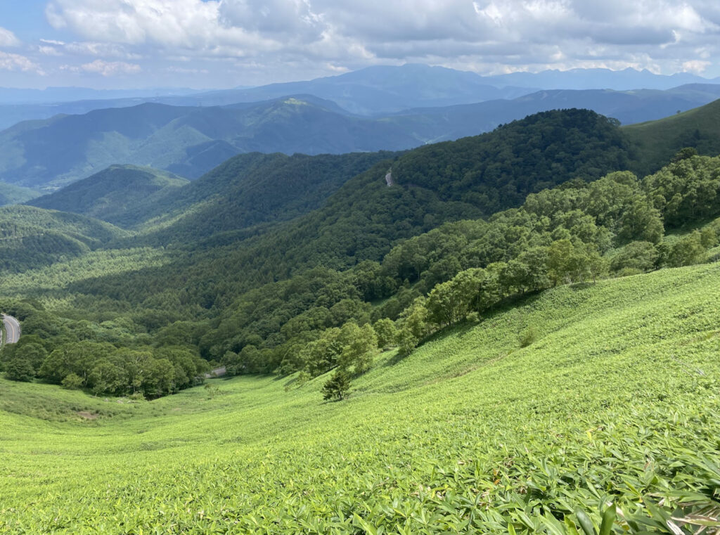 美ヶ原