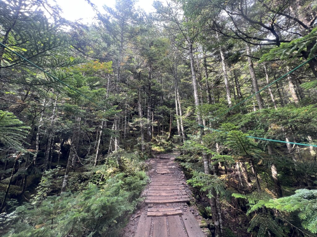 北八ヶ岳北横岳｜茅野市で注文住宅ならエルハウス