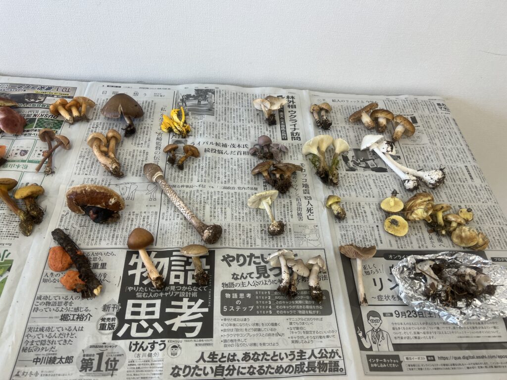 きのこ鑑別相談所｜松本市で注文住宅ならエルハウス
