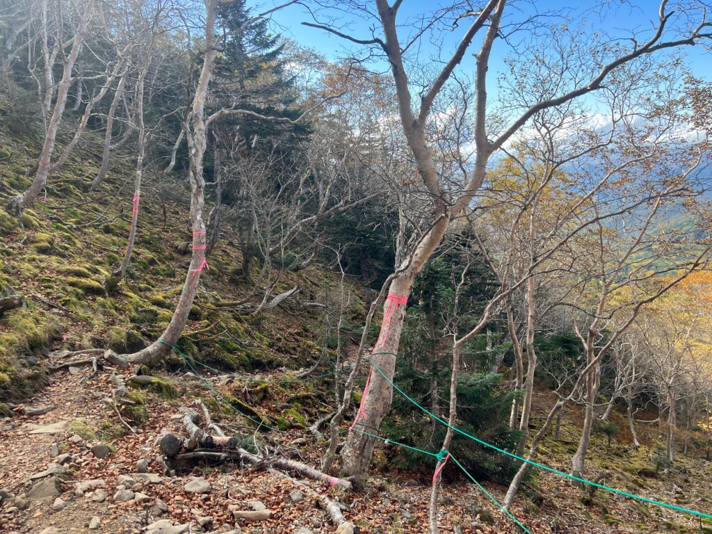 八ヶ岳硫黄岳｜茅野市で注文住宅ならエルハウス width=