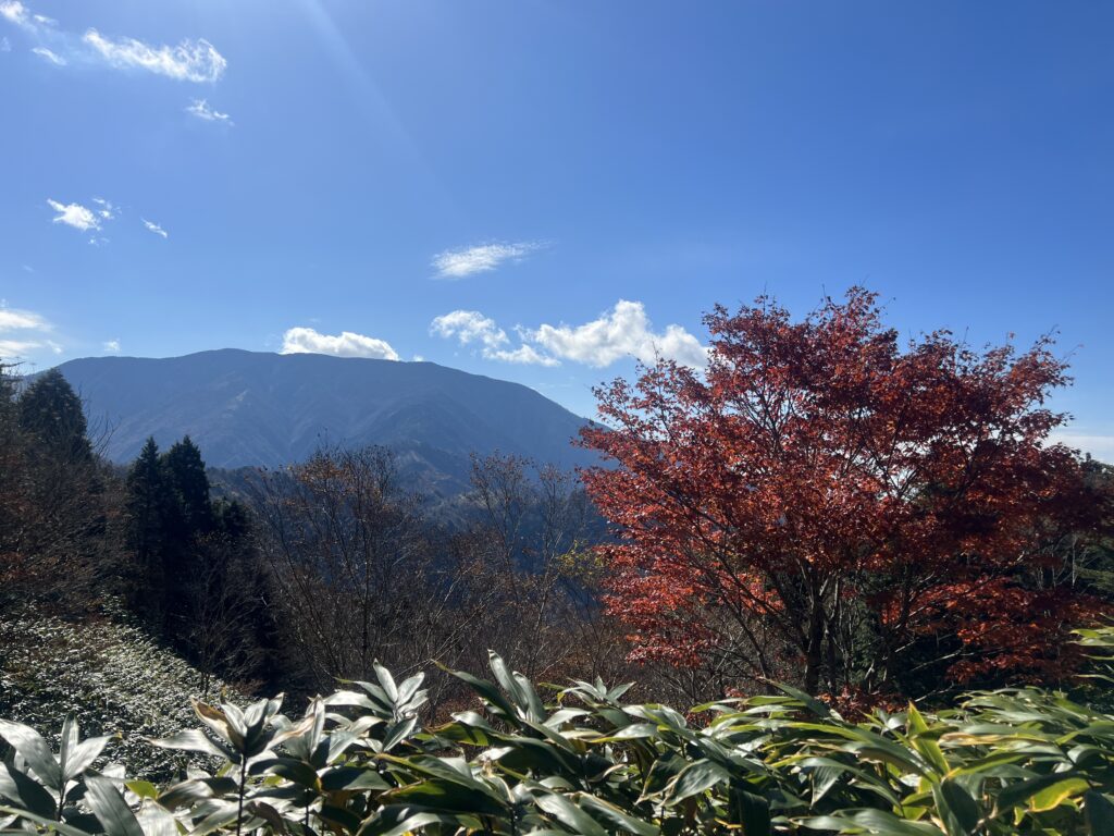 神坂山富士見台高原｜長野県のハウスメーカーエルハウス