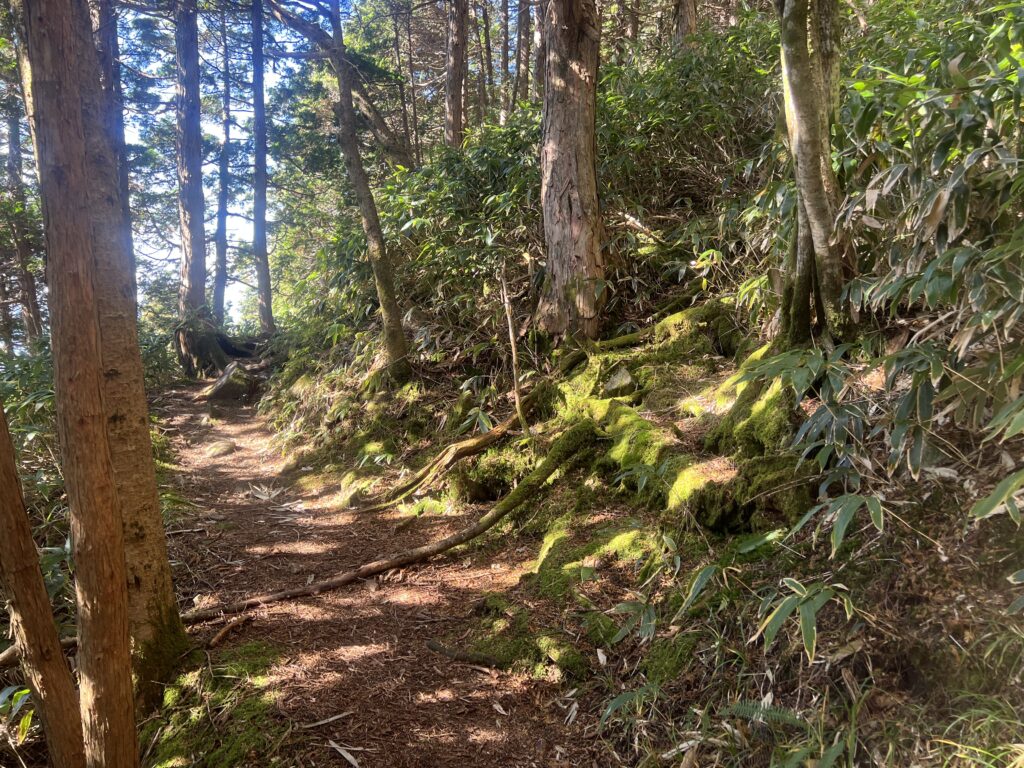 神坂山富士見台高原｜長野県のハウスメーカーエルハウス
