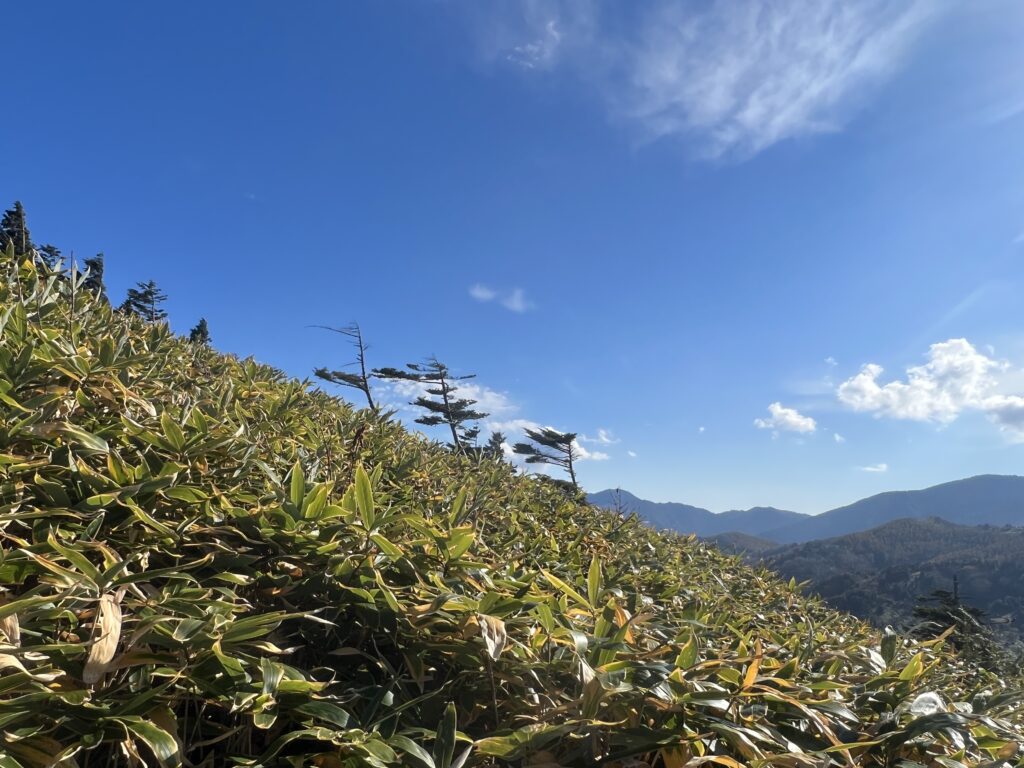 神坂山富士見台高原｜長野県のハウスメーカーエルハウス