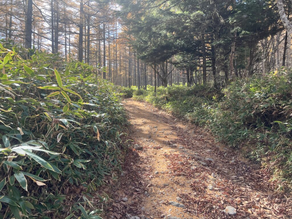 本沢温泉｜諏訪市で注文住宅ならエルハウス