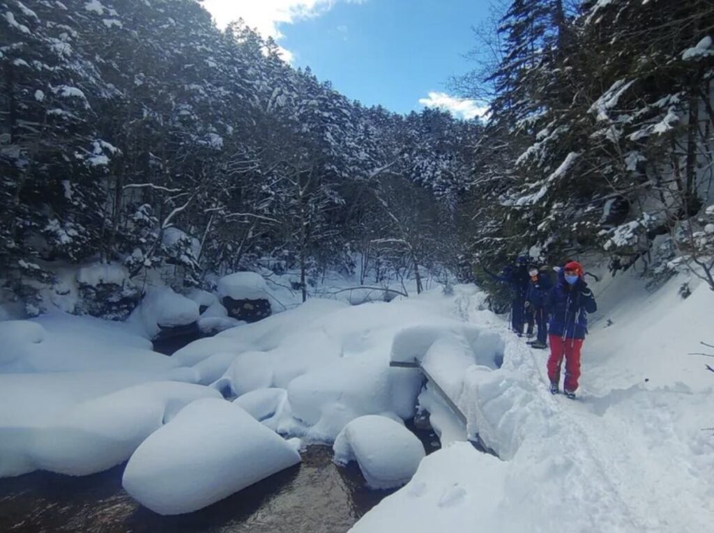 赤岳を目指す道