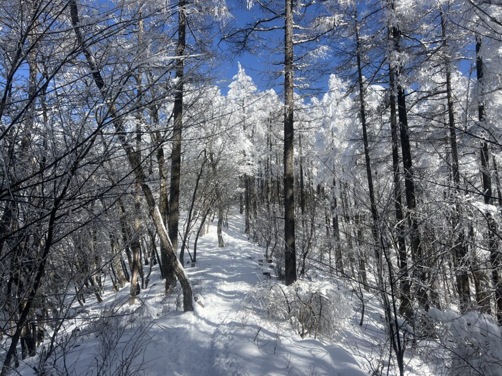 守屋山登山｜茅野市で注文住宅ならエルハウス width=