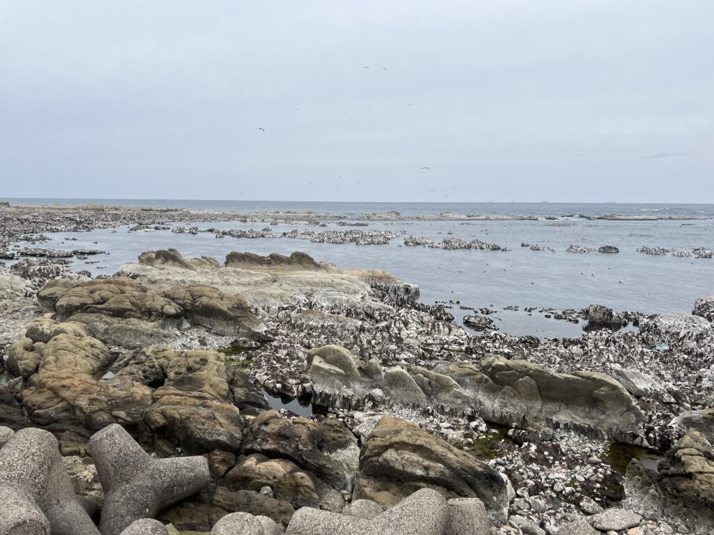 能登半島地震の現在の様子｜茅野市で注文住宅ならエルハウス