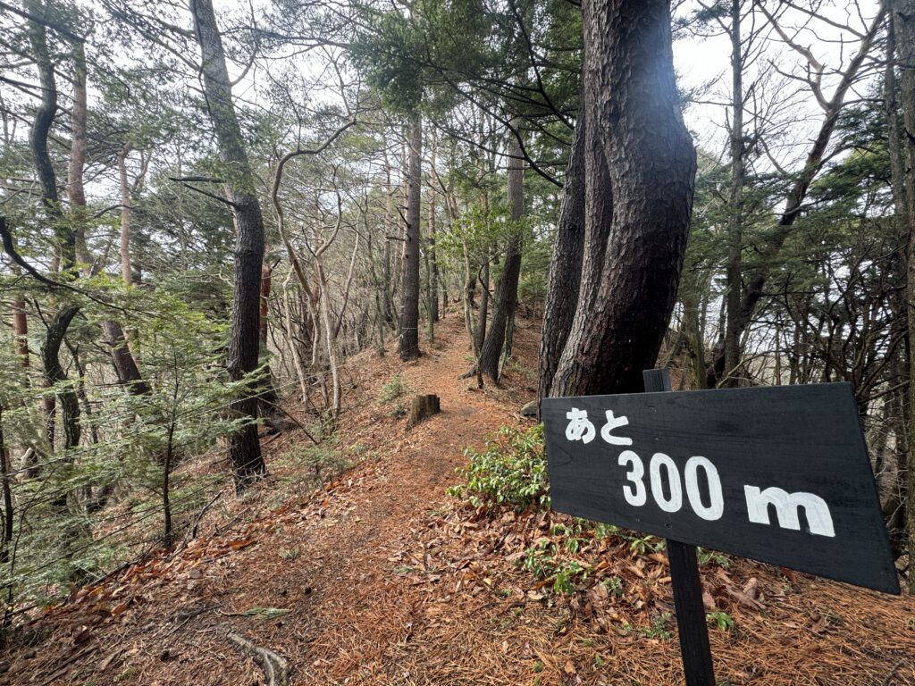 霧訪山まであと3００m｜塩尻市で注文住宅ならエルハウス