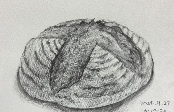 イラストスケッチ｜茅野市で注文住宅ならエルハウス