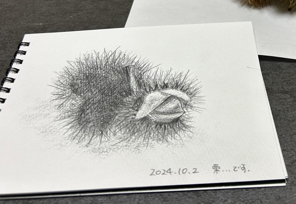 イラストスケッチ｜茅野市で注文住宅ならエルハウス