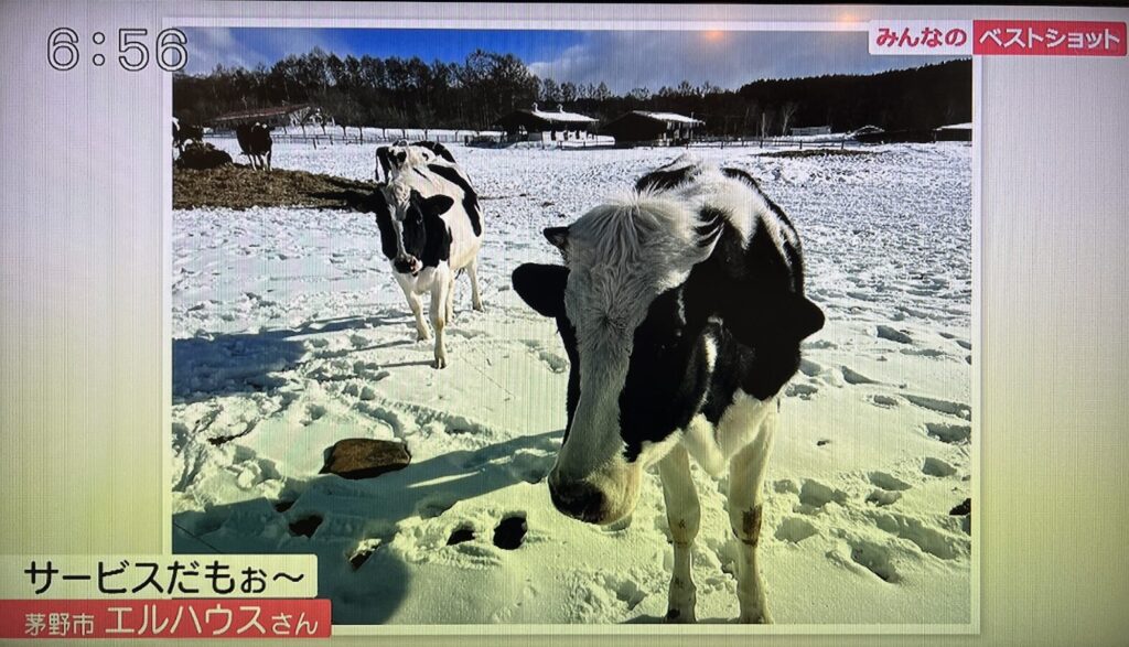 長野放送みんなのベストショット｜茅野市で注文住宅ならエルハウス