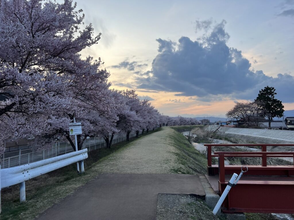茅野市宮川の桜｜茅野市で注文住宅ならエルハウス