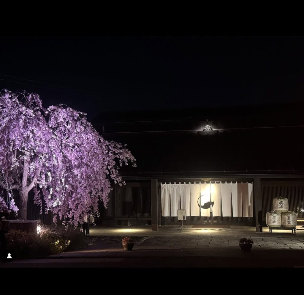 夜桜と真澄｜茅野市で注文住宅ならエルハウス