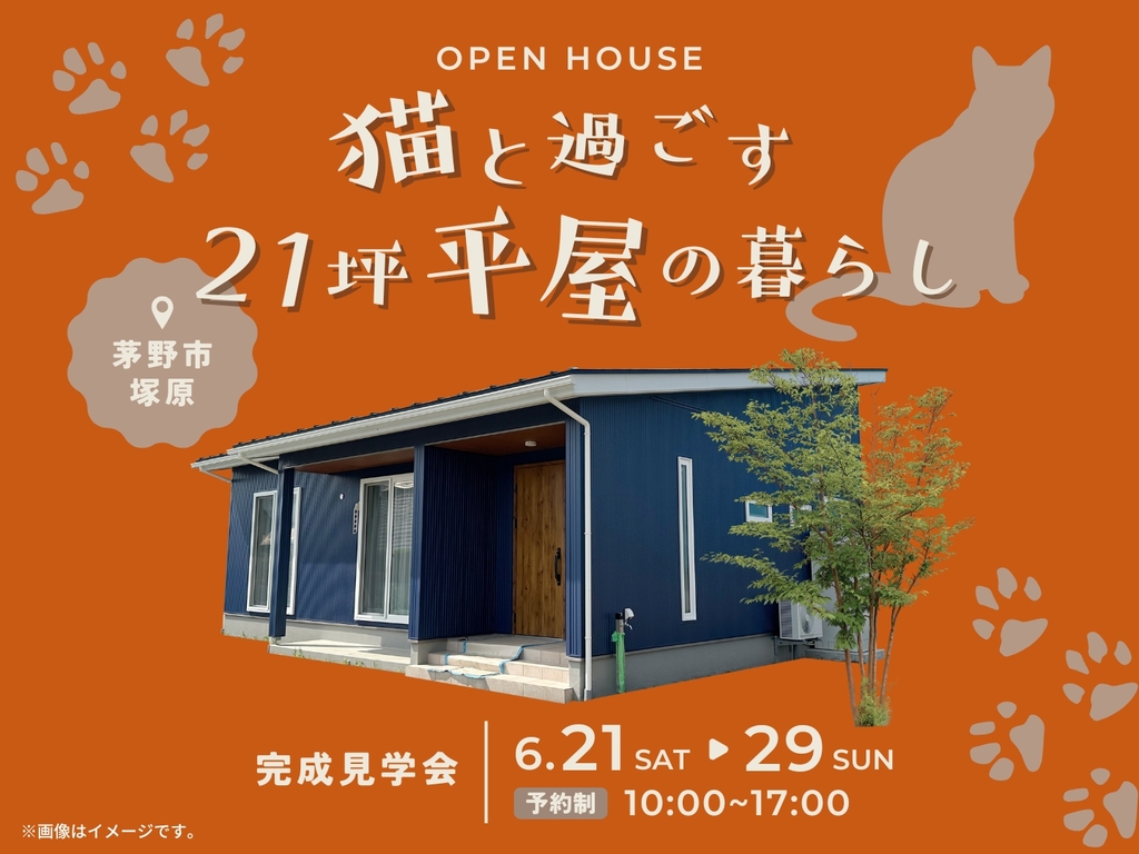猫と過ごす21坪平屋の暮らし｜茅野市で注文住宅ならエルハウス
