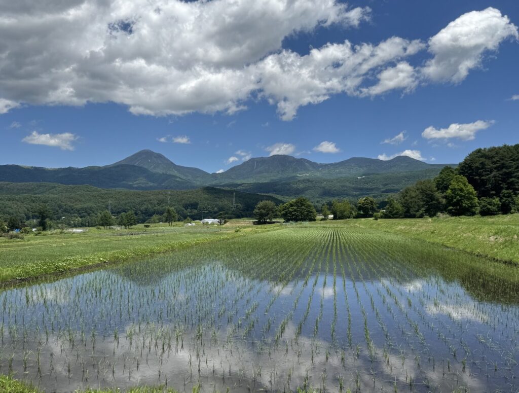 茅野市内｜茅野市で注文住宅ならエルハウス