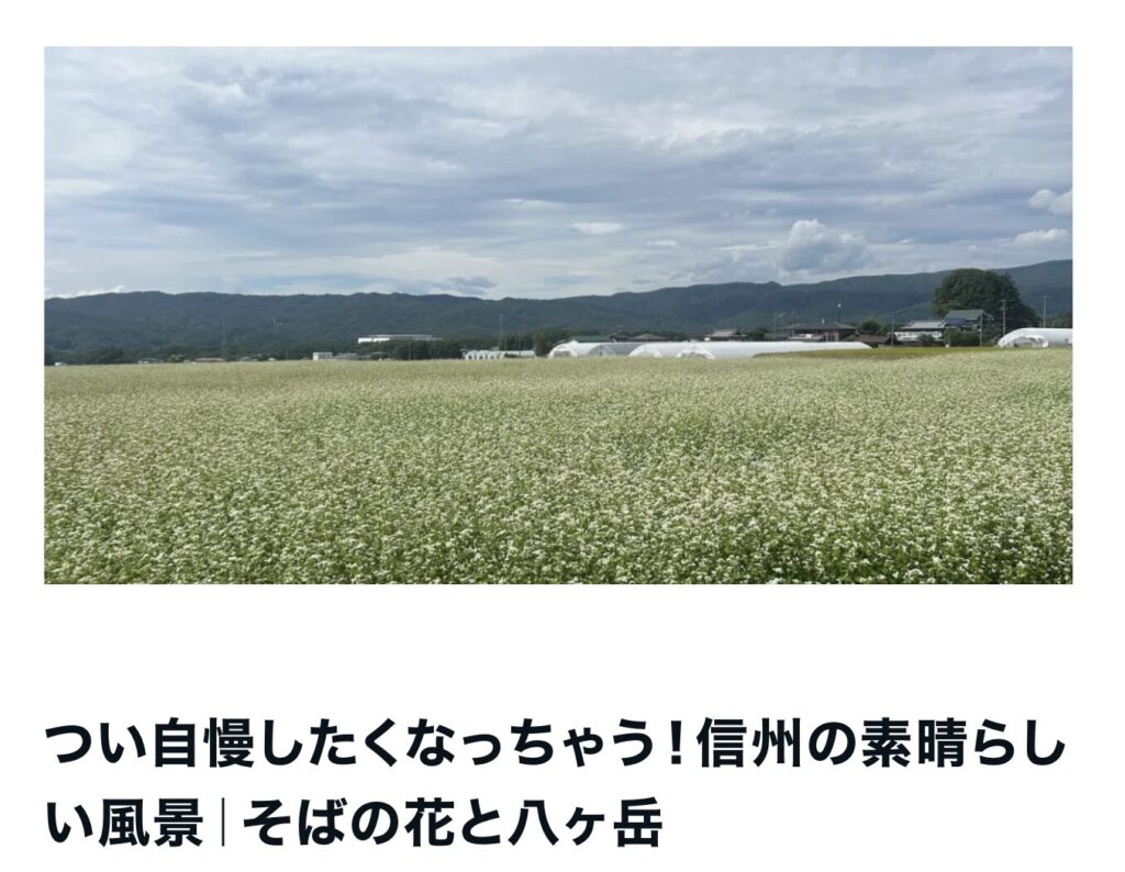 つい自慢したくなっちゃう！信州の素晴らしい風景｜そばの花と八ヶ岳エルハウス