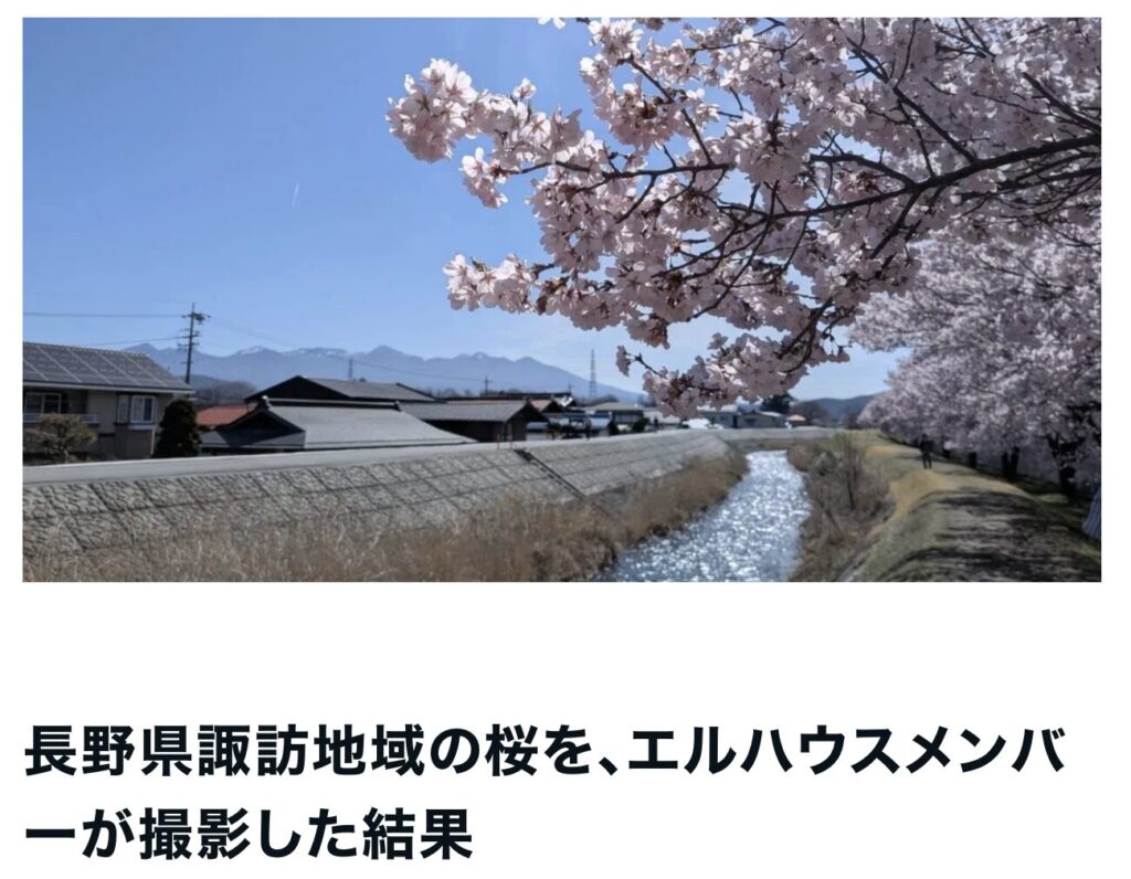諏訪地域の桜｜茅野市で注文住宅ならエルハウス