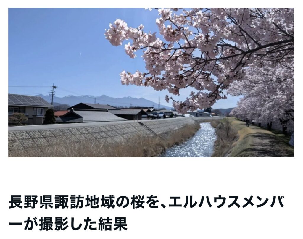 長野県諏訪地域の桜を、エルハウスメンバーが撮影した結果｜茅野市で注文住宅ならエルハウス
